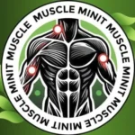 muscleminit